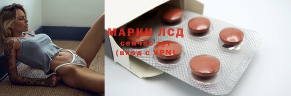 гашик Алексеевка