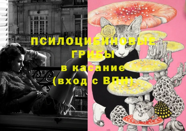 гашик Алексеевка